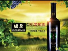 深圳不干胶网:威龙股票被停牌